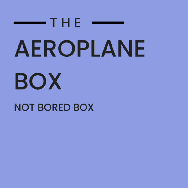 Aeroplane Travel Box